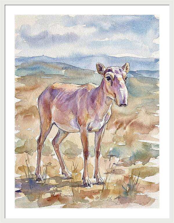 Saiga Antelope In Watercolor