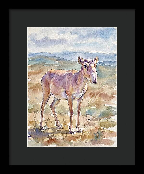 Saiga Antelope In Watercolor
