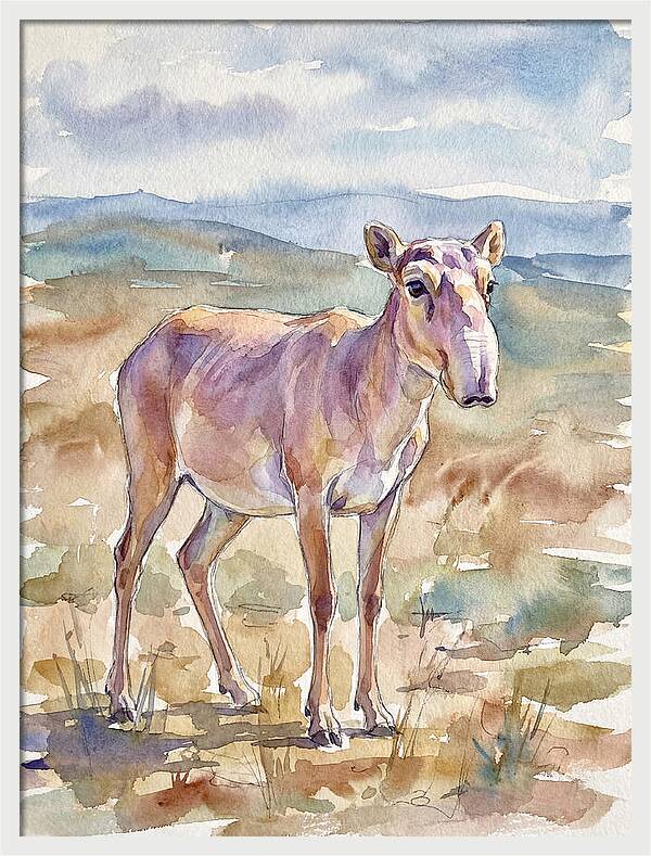 Saiga Antelope In Watercolor