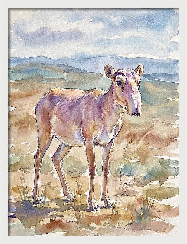 Saiga Antelope In Watercolor
