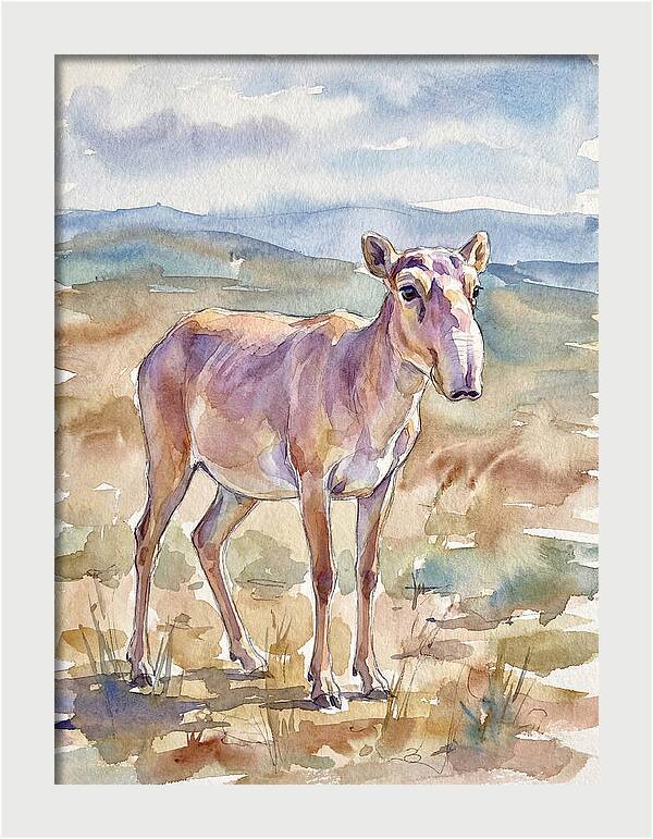 Saiga Antelope In Watercolor