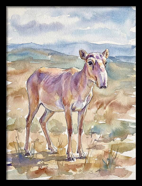Saiga Antelope In Watercolor