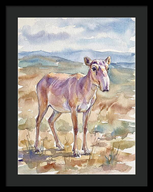Saiga Antelope In Watercolor