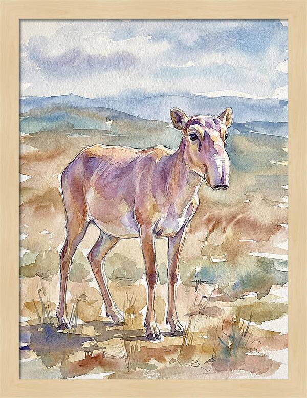 Saiga Antelope In Watercolor