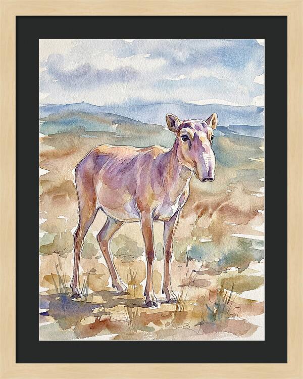 Saiga Antelope In Watercolor