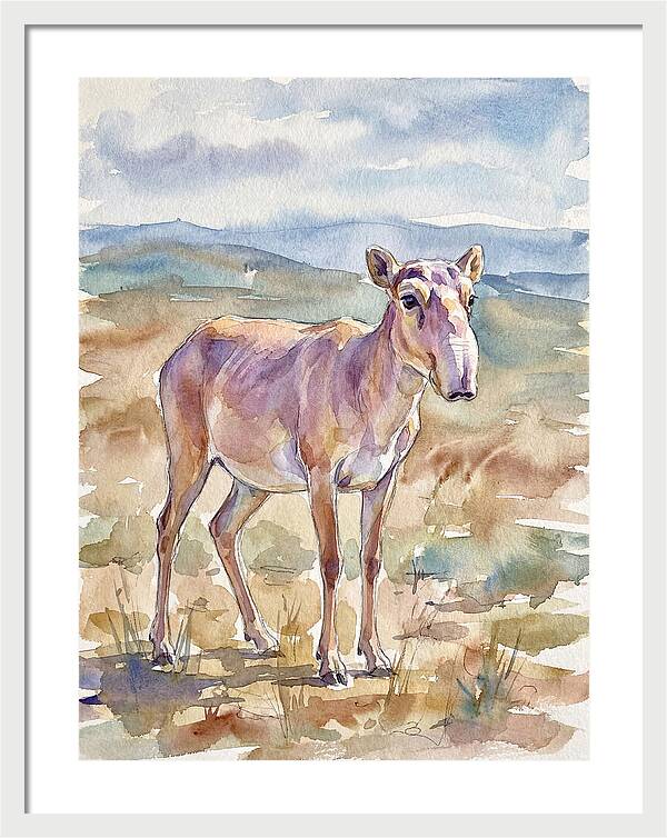 Saiga Antelope In Watercolor