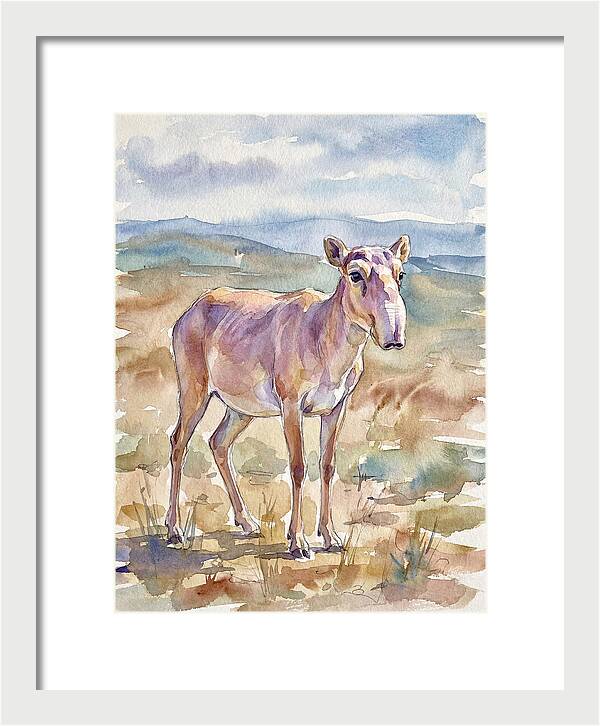 Saiga Antelope In Watercolor