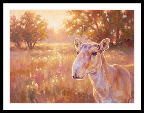 Saiga In Light
