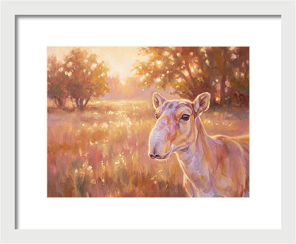 Saiga In Light