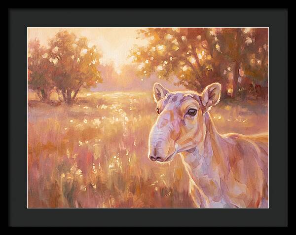 Saiga In Light