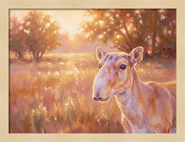 Saiga In Light