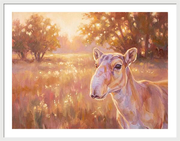 Saiga In Light