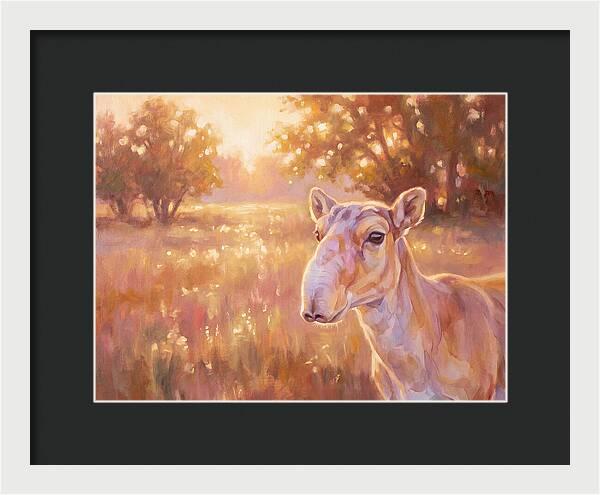 Saiga In Light