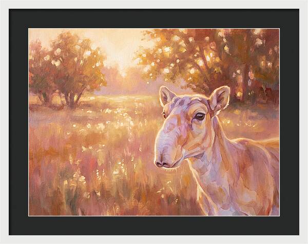 Saiga In Light