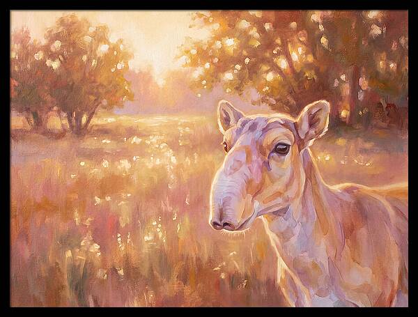Saiga In Light