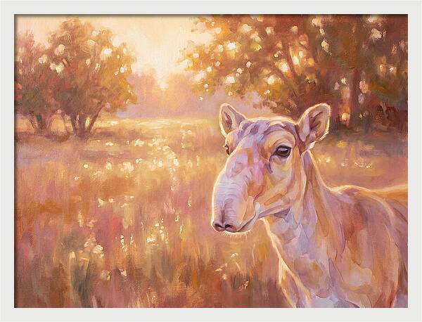 Saiga In Light
