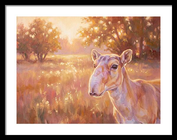 Saiga In Light