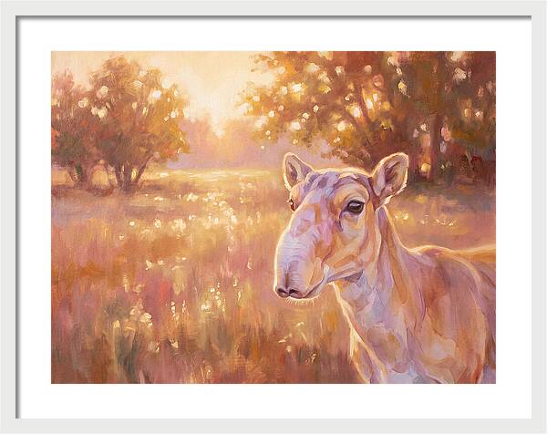 Saiga In Light