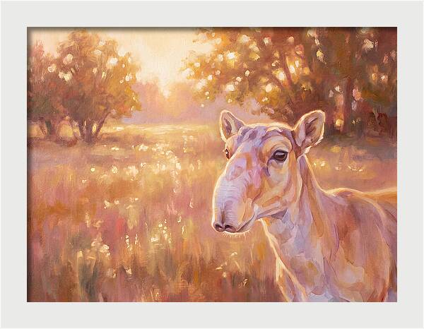 Saiga In Light
