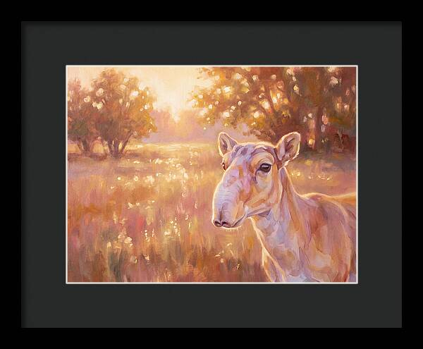 Saiga In Light