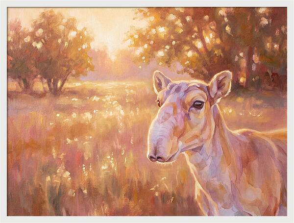 Saiga In Light