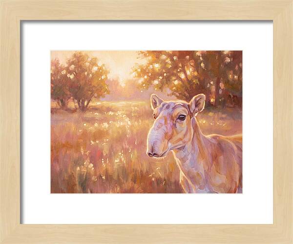 Saiga In Light