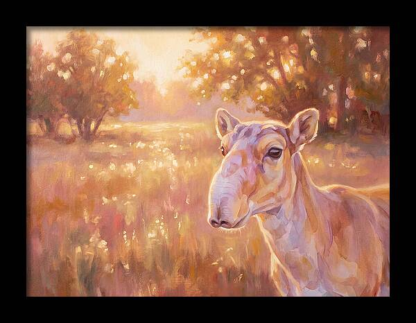 Saiga In Light