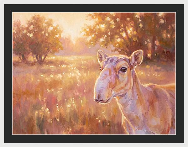 Saiga In Light
