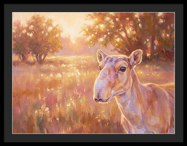 Saiga In Light