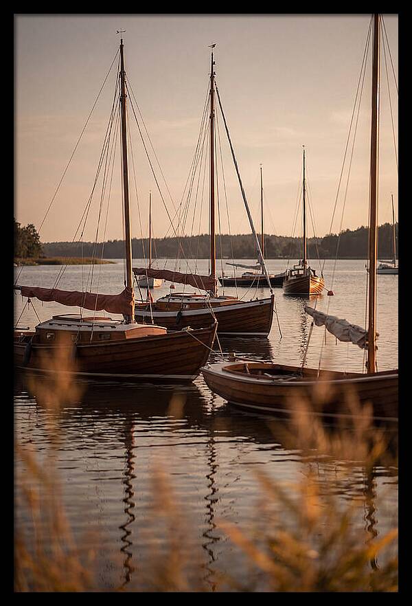 Sailboats Anchored In Tranquil Waters