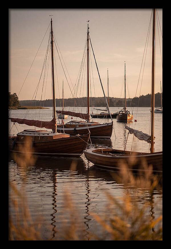 Sailboats Anchored In Tranquil Waters