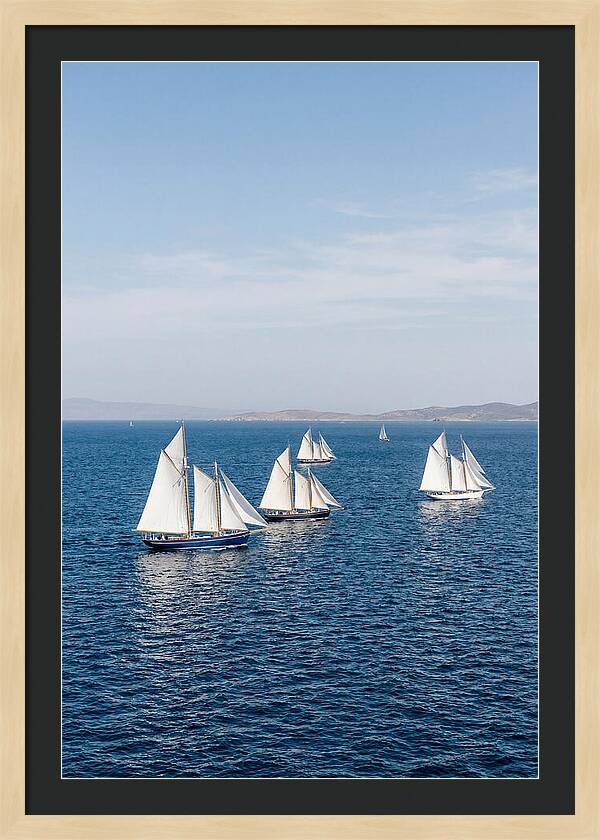Sailboats Racing Across Blue Waters