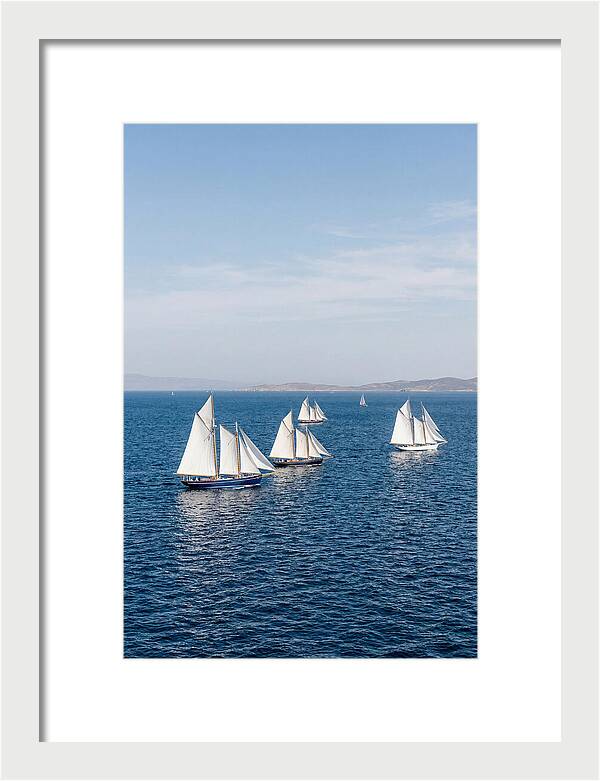 Sailboats Racing Across Blue Waters