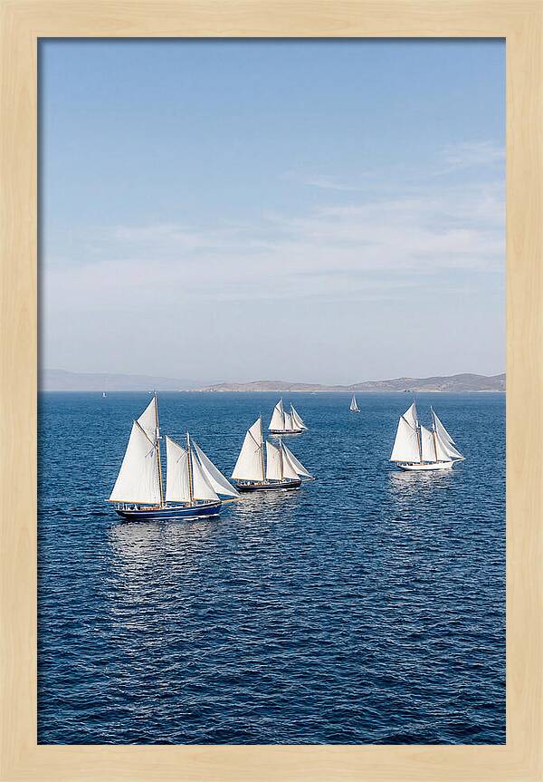 Sailboats Racing Across Blue Waters