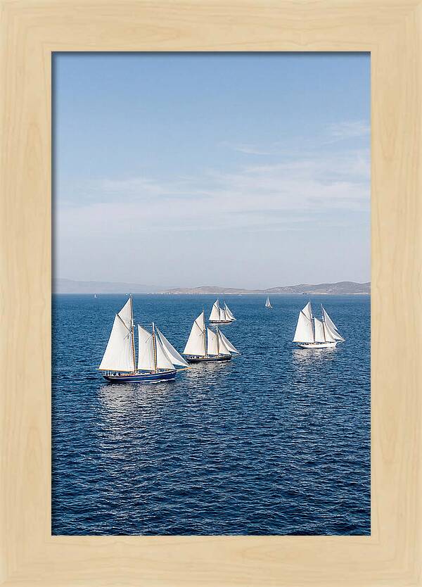 Sailboats Racing Across Blue Waters