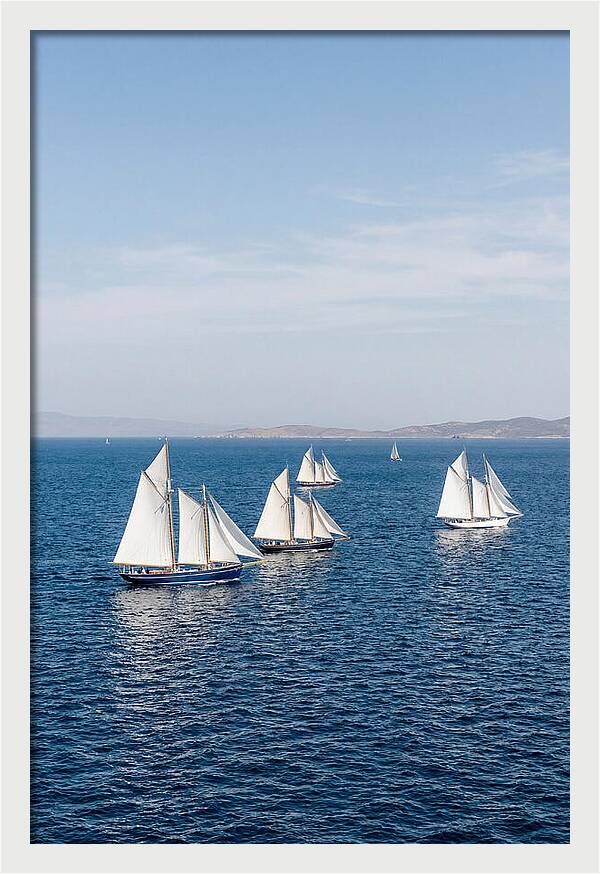 Sailboats Racing Across Blue Waters
