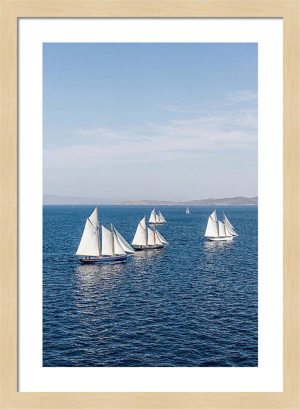 Sailboats Racing Across Blue Waters