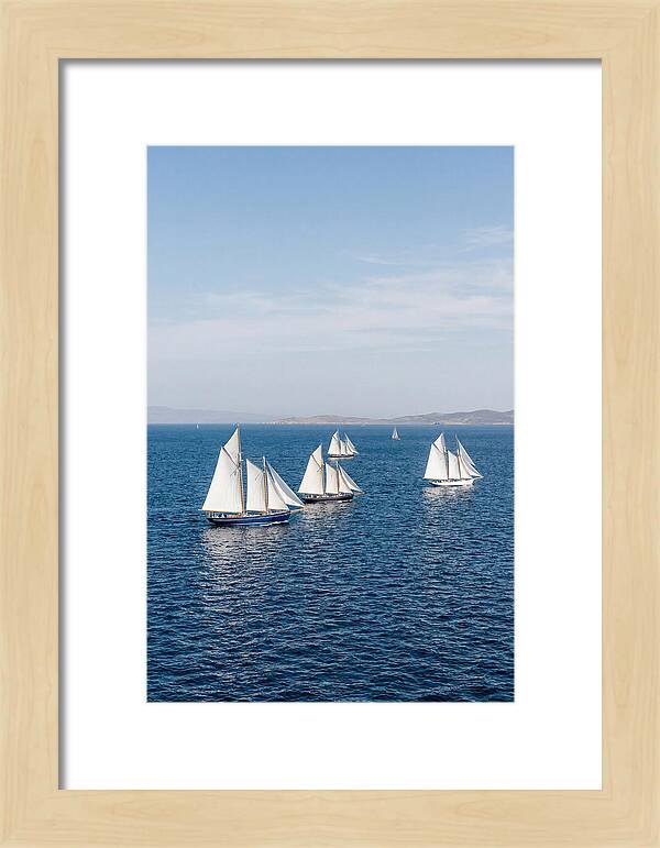 Sailboats Racing Across Blue Waters