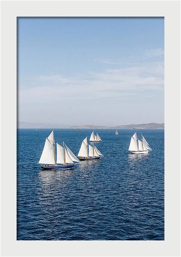 Sailboats Racing Across Blue Waters