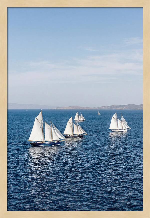 Sailboats Racing Across Blue Waters