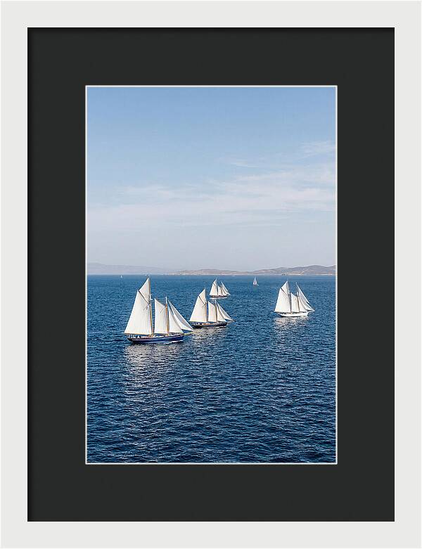 Sailboats Racing Across Blue Waters