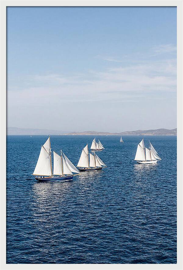 Sailboats Racing Across Blue Waters