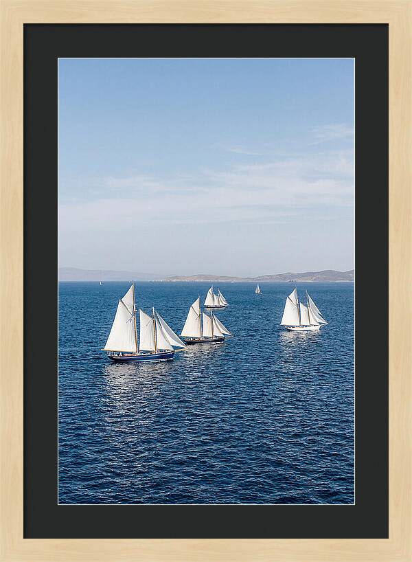 Sailboats Racing Across Blue Waters