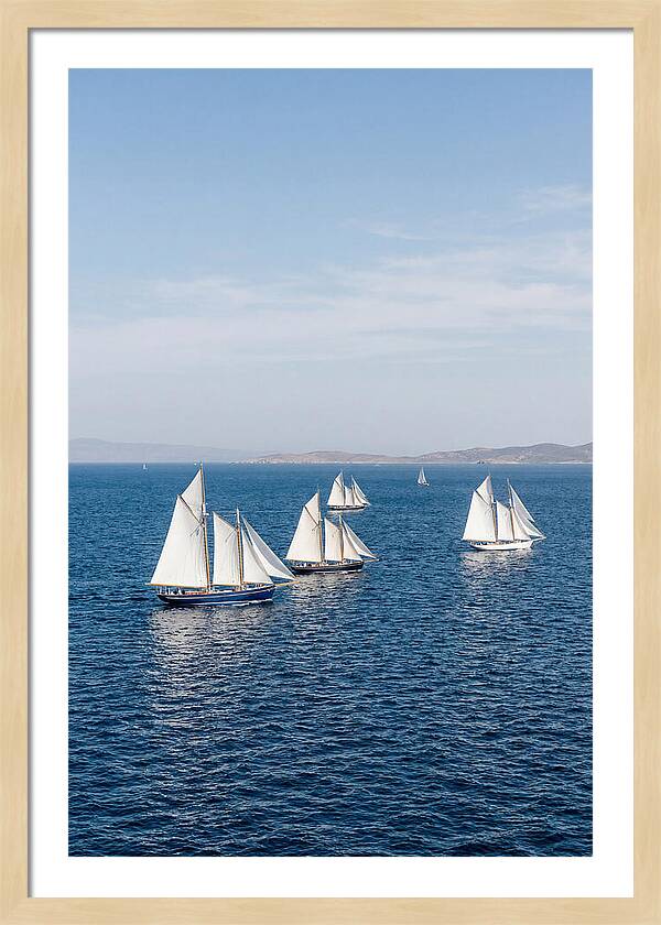 Sailboats Racing Across Blue Waters