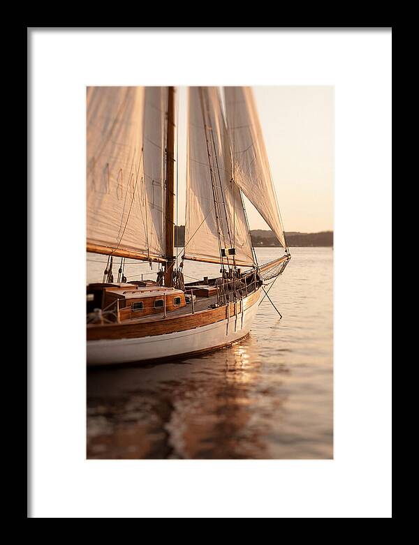 Sailing Into Serenity