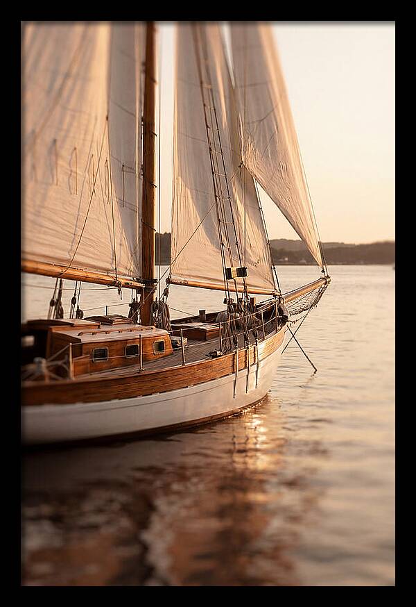 Sailing Into Serenity