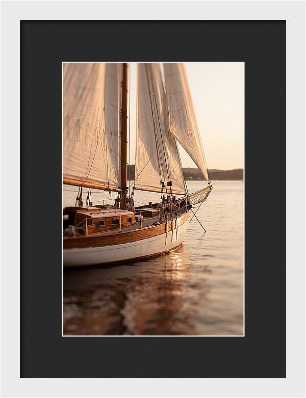 Sailing Into Serenity