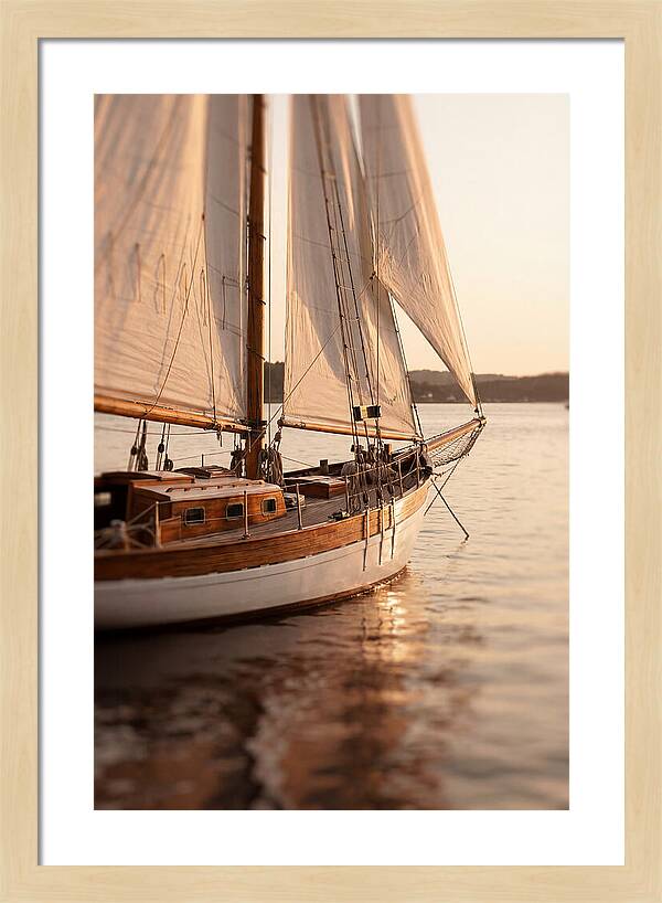 Sailing Into Serenity