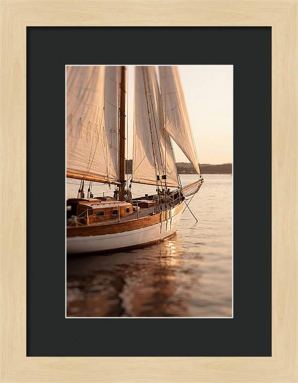 Sailing Into Serenity