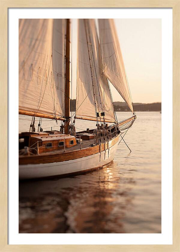 Sailing Into Serenity